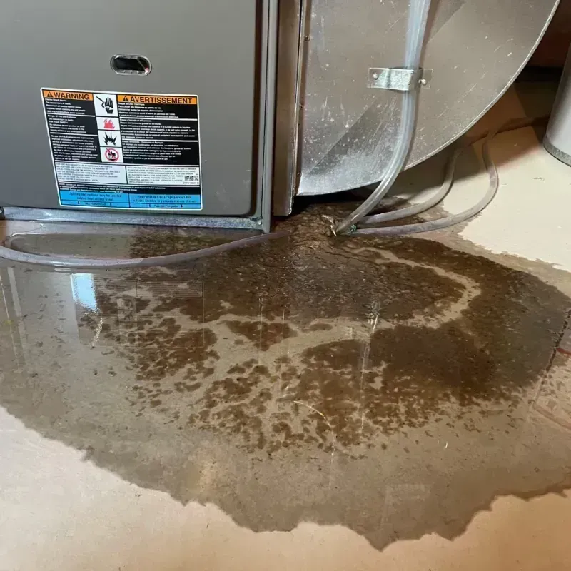 Appliance Leak Cleanup in Darien, IL